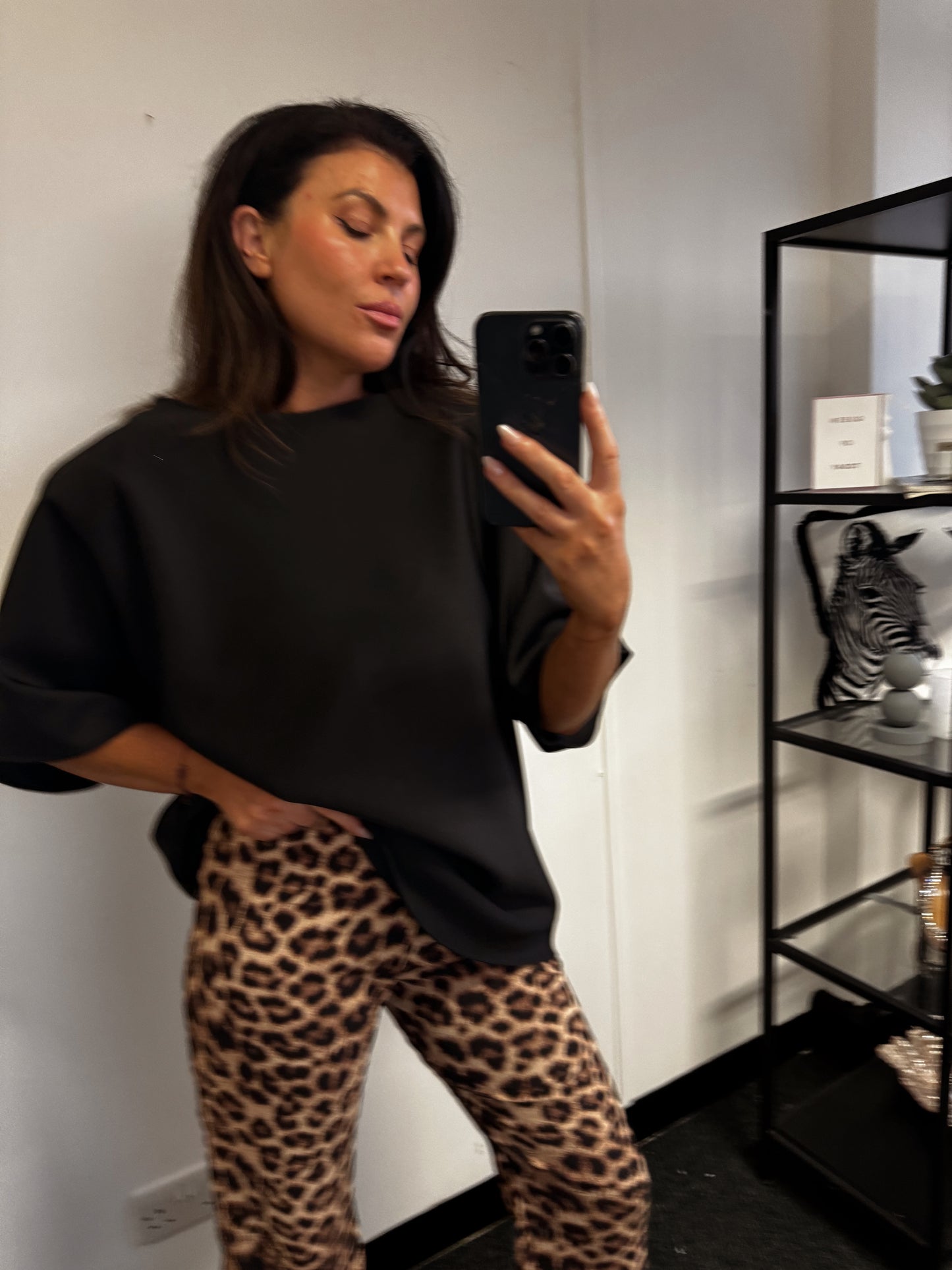 Brown Animal Print Stretch Flares