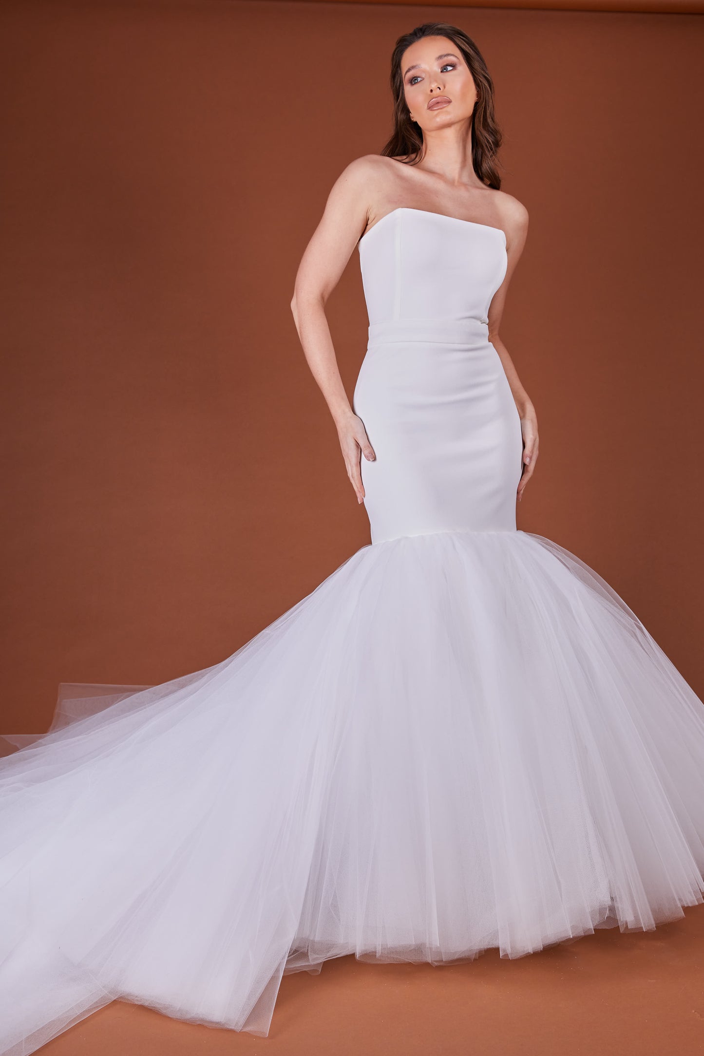 Ivory Fishtail Tulle Dress