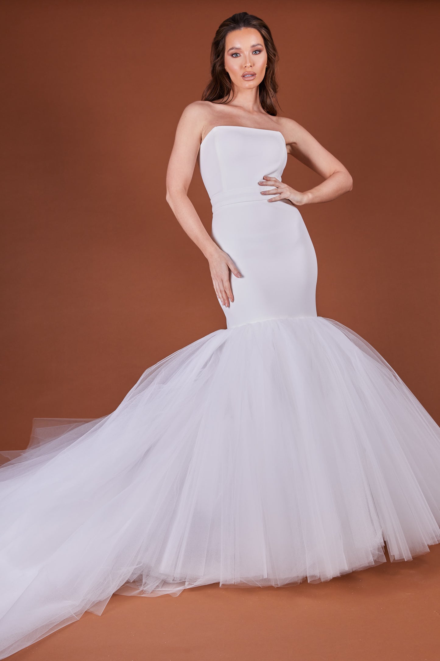 Ivory Fishtail Tulle Dress